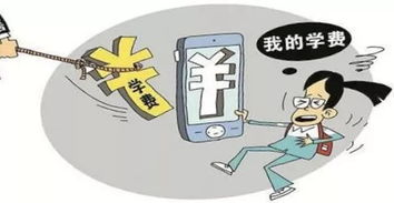 校外安全教育的内容