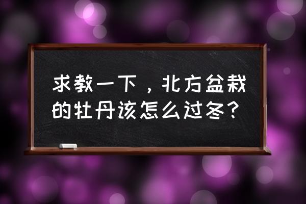 实木家具的冬季保养问题 求教一下，北方盆栽的牡丹该怎么过冬？