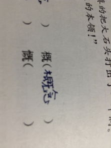 竖心旁与什么有关?