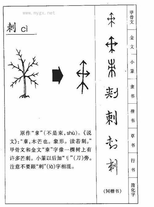 刺的拼音