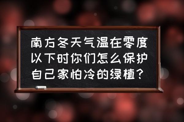 冬天什么植物在家里养得活 南方冬天气温在零度以下时你们怎么保护自己家怕冷的绿植？