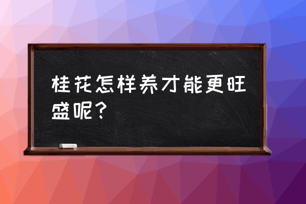 桂花树怎么养才长得好 桂花怎样养才能更旺盛呢？