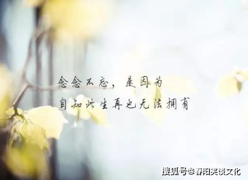 心情压抑不开心的诗句有哪些?