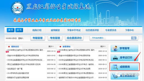 考籍号忘了怎么查