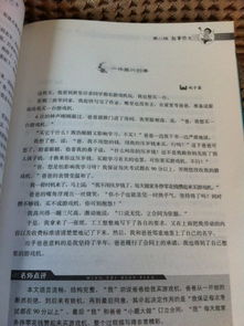 写作文两百字左右