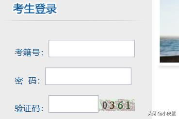 考籍号忘了怎么查