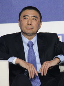 保利文化董事长王波多大了