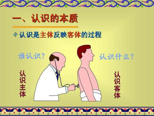 客体是什么意思，主体是什么意思