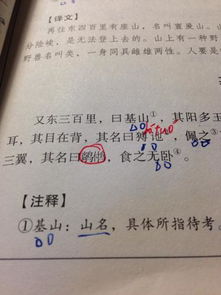 圈起来的读音