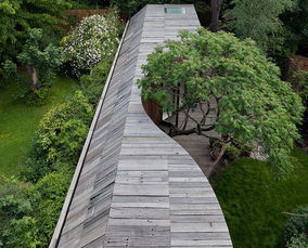 人树房子测试详细解析，人树房子测试详细解析火柴盒