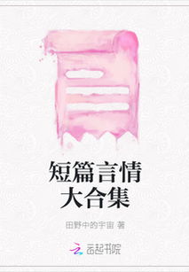 寻十章的言情小说