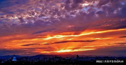 晚霞的诗句，晚霞的诗句表达想你