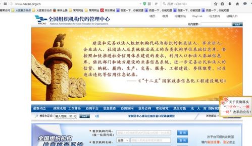 企业代码怎么查