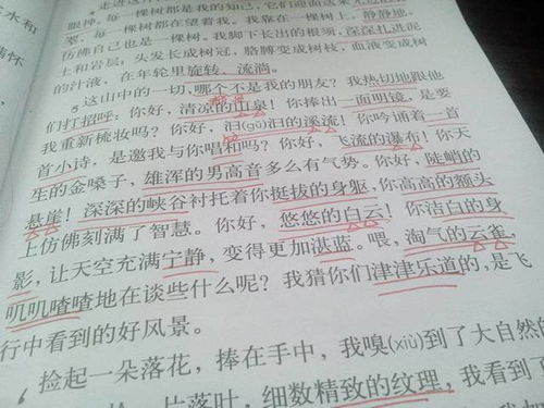 仿写匆匆第三段，仿写匆匆第三段小练笔