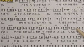 《可可托海的牧羊人》的歌词是什么?