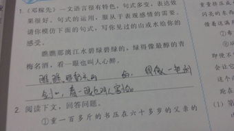 尖角是词语吗
