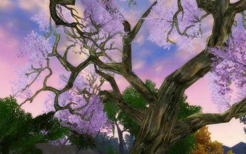 春夏秋冬的特点