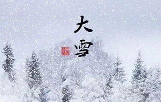 关于雪的谚语4年级，关于雪的谚语4年级下册