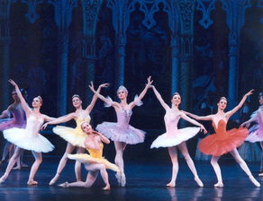 芭蕾舞十二个基本动作，芭蕾舞十二个基本动作名称