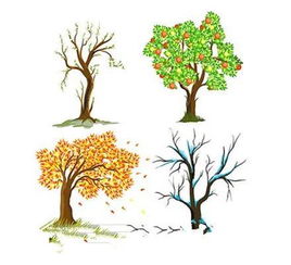 一年四季的特点