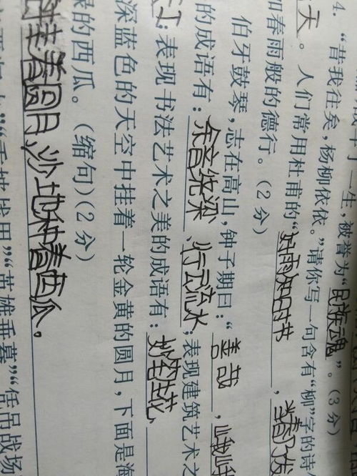 关于美的词语