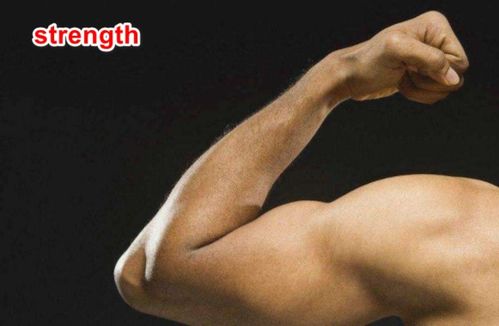 strong名词，strong名词动词