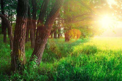 破的组词，破的组词二年级