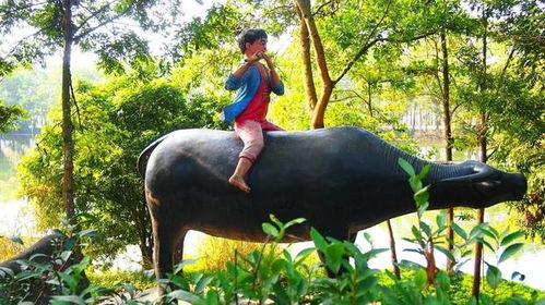 桑茶坑到中古诗