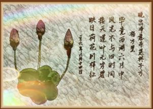夏天诗句，夏天诗句唯美古诗