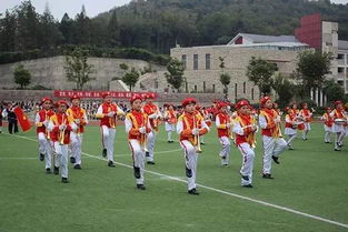 中国少年先锋队网，中国少年先锋队网上主题队课