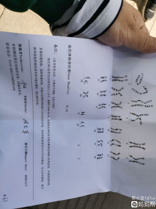 giraffe什么意思中文翻译