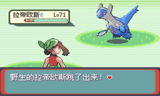 口袋妖怪中有哪些神兽?
