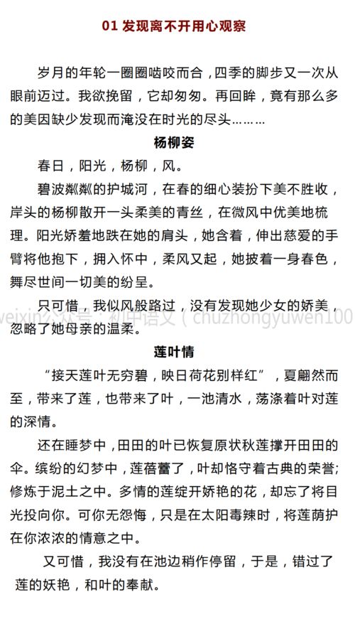 带有小标题的作文600初一
