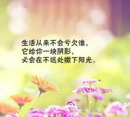 表达收获满满的句子经典语句