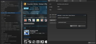 steamcsgo怎么玩国服，steamcsgo怎么玩国服外服