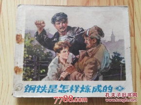《钢铁是怎样炼成的》精选好句100句