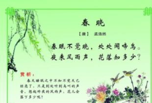 关于春天的诗句有哪些