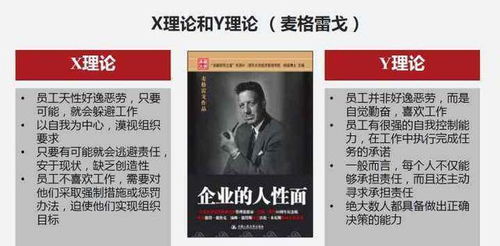 麦格雷戈 x,y 理论具体内容是什么?