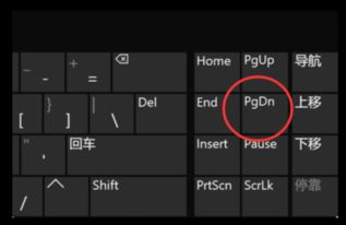 word里面怎么开始下一页