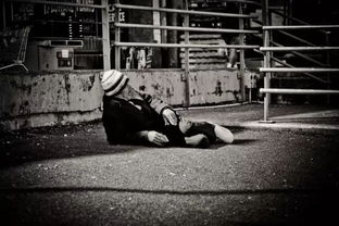 啮噬怎么读,速速