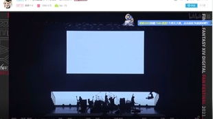 ff14素素，ff14素素攻略站