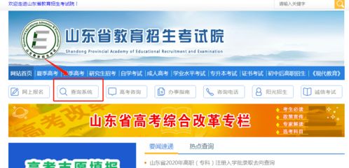 山东教育考试院电话