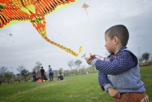 描写“儿童放风筝”的古诗有哪些?