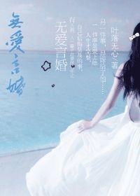 无爱言婚，无爱言婚小说
