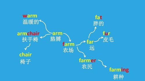 五年级下册英语思维导图怎么画