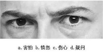 什么的眼神 如何填写?