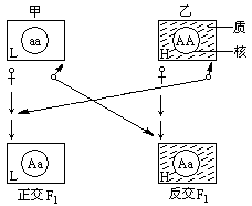 正交反交，正交反交的概念