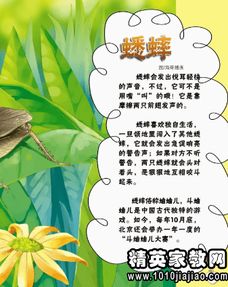 昆虫记读后感