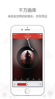 ios网易云音乐文件在哪