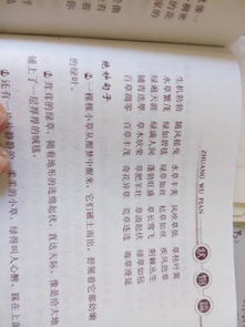 二字好词大全: